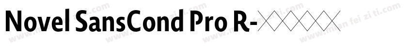 Novel SansCond Pro R字体转换